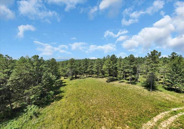 0 Musket Road, Guild, TN 37340