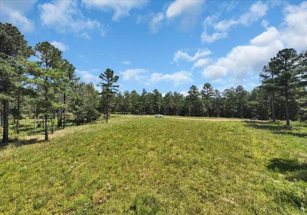 0 Musket Road, Guild, TN 37340