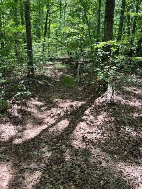 123 Retro Hughes Road, Graysville, TN 37338
