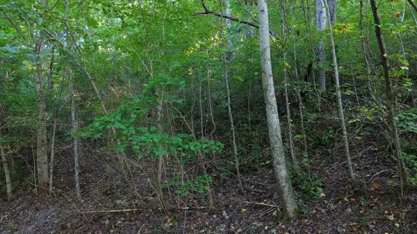 77 Baymont Dr, Lancaster, TN 38569