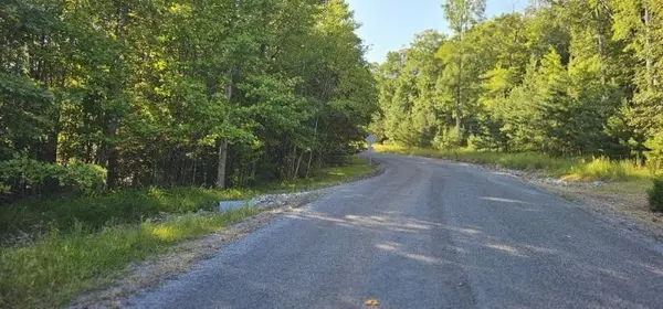 561 Bluff View Drive, Dunlap, TN 37327