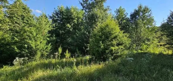 561 Bluff View Drive, Dunlap, TN 37327