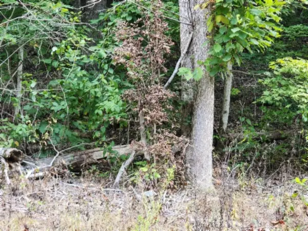 0 Apache Rd, Jamestown, TN 38556