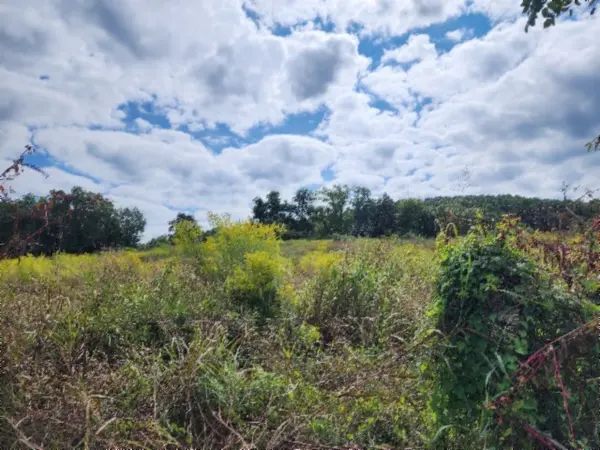 0 Anderson Rd, Byrdstown, TN 38549