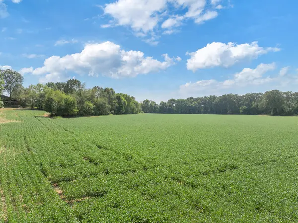 203 PEACE AND HARMONY ROAD, Gleason, TN 38229
