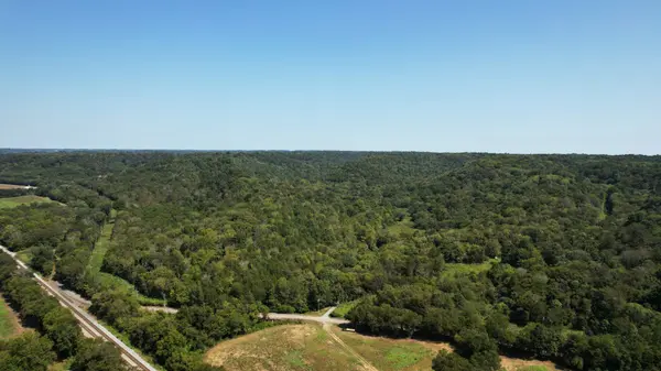 0 McBurg Dellrose Rd Tract 1, Dellrose, TN 38453