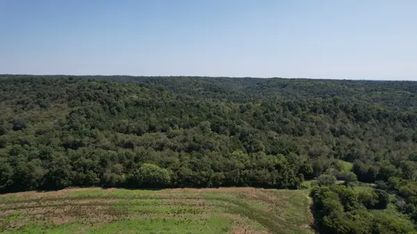 0 McBurg Dellrose Rd Tract 1, Dellrose, TN 38453