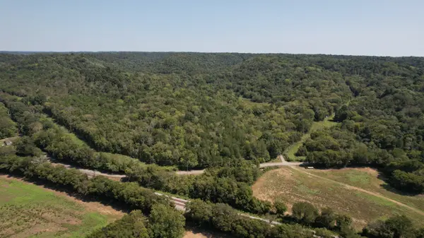 0 McBurg Dellrose Rd Tract 2, Dellrose, TN 38453