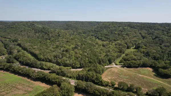 0 McBurg Dellrose Rd Tract 3, Dellrose, TN 38453