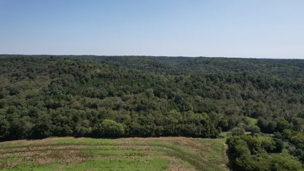 0 McBurg Dellrose Rd Tract 3, Dellrose, TN 38453