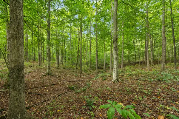 0 Tidwell Swtich Road, Bon Aqua, TN 37025