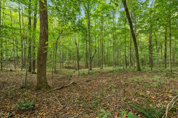 0 Tidwell Swtich Road, Bon Aqua, TN 37025