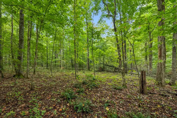 0 Tidwell Swtich Road, Bon Aqua, TN 37025