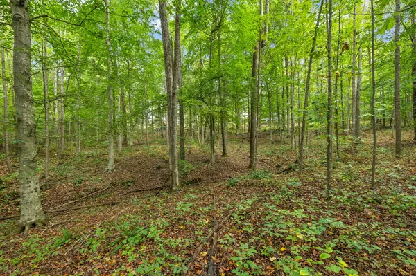0 Tidwell Swtich Road, Bon Aqua, TN 37025