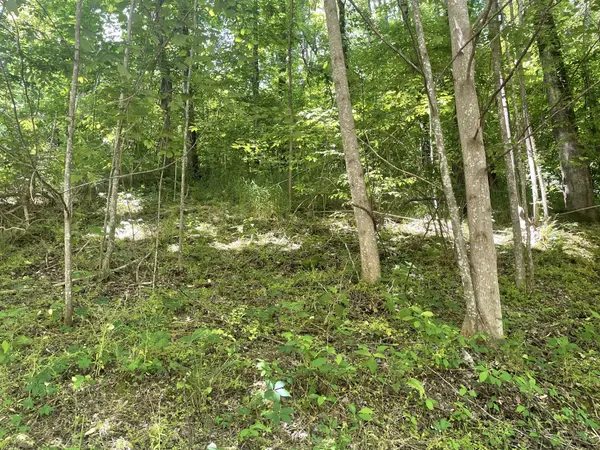 0 Harbor Dr, Lancaster, TN 38569