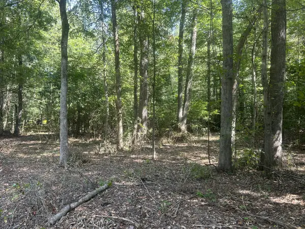 0 Asbury Rd, Camden, TN 38320