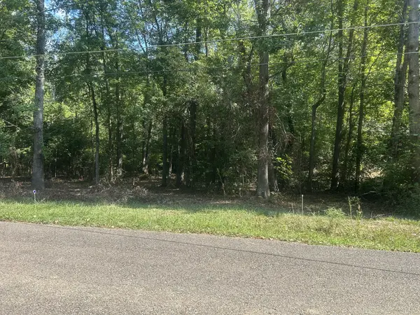 0 Asbury Rd, Camden, TN 38320