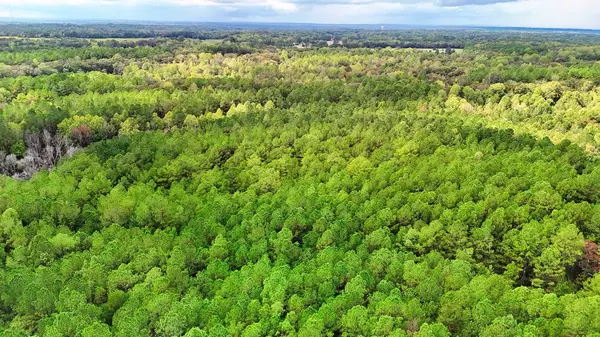 0 Sain Rd, Bolivar, TN 38008