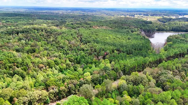 0 Sain Rd, Bolivar, TN 38008