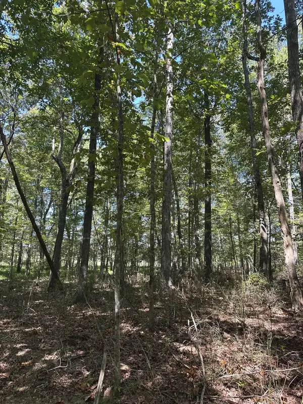 13 Hickory Hollow Sub Road, Tracy City, TN 37387