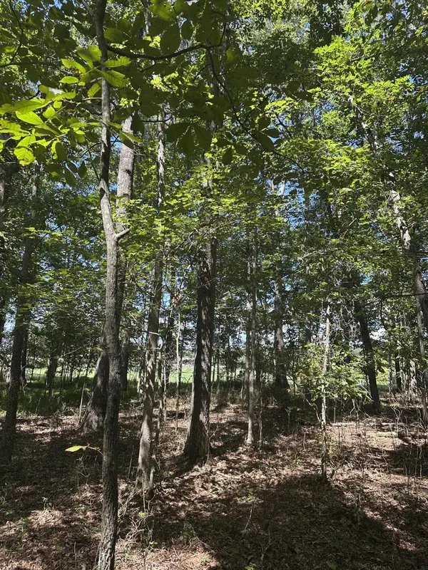 13 Hickory Hollow Sub Road, Tracy City, TN 37387