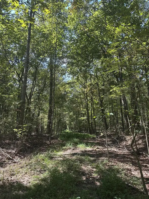 13 Hickory Hollow Sub Road, Tracy City, TN 37387