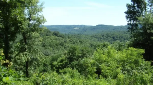 0 Rock Fish Lane, Hilham, TN 38568