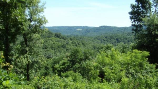 0 Rock Fish Lane, Hilham, TN 38568