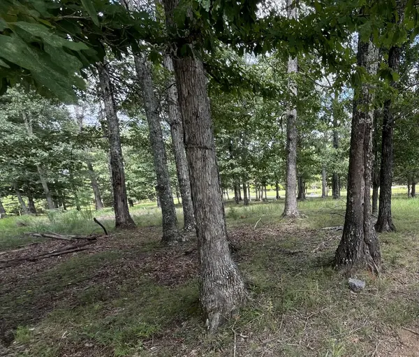 227 Blackberry Farm Rd, Monteagle, TN 37356