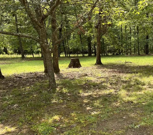 214 Blackberry Farm Rd #W, Monteagle, TN 37356