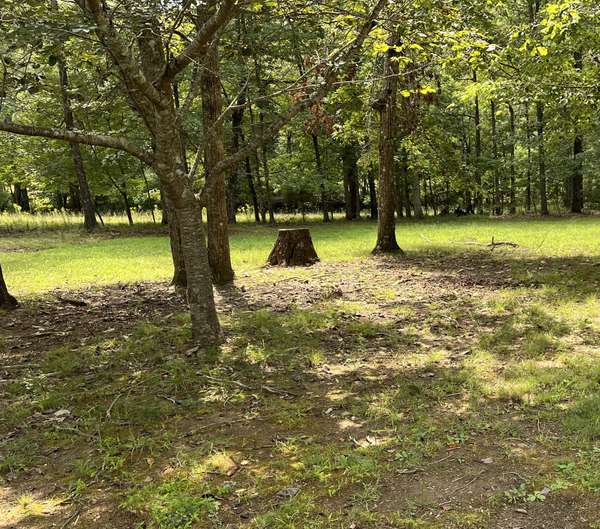 214 Blackberry Farm Rd #W, Monteagle, TN 37356