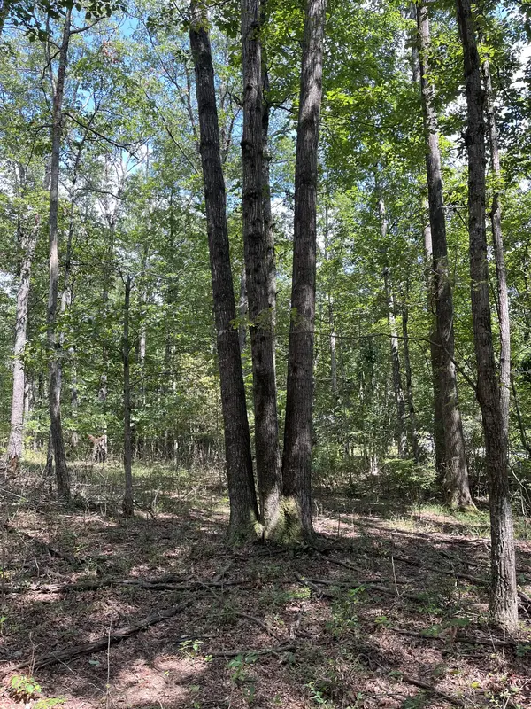 201 Blackberry Farm Rd #W, Monteagle, TN 37356