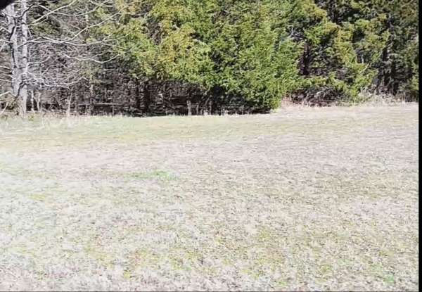 1285 Golf Dr, Saulsbury, TN 38067