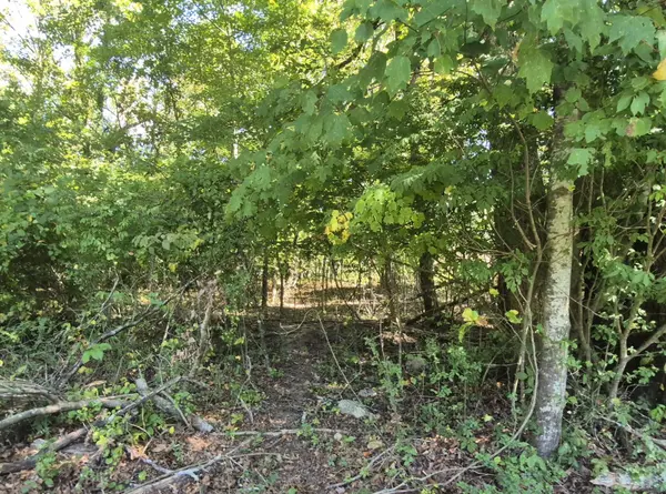 0 Spring Street, Monteagle, TN 37356