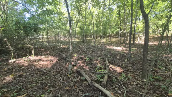 0 Spring Street, Monteagle, TN 37356