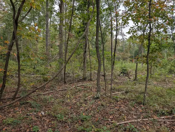 0 Deer Run Rd Lot 146, Altamont, TN 37301