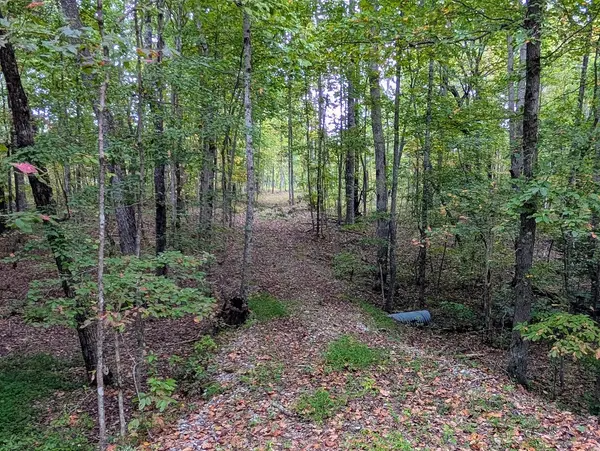 0 Deer Run Rd Lot 146, Altamont, TN 37301