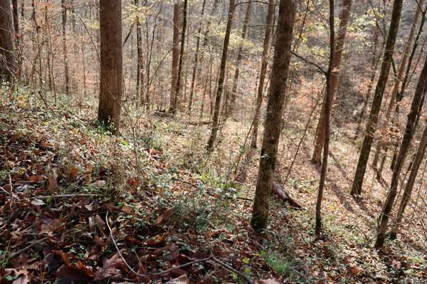 74 Cherokee Dr, Smithville, TN 37166