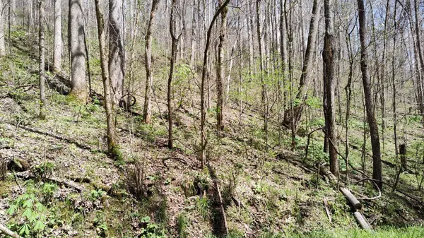 74 Cherokee Dr, Smithville, TN 37166