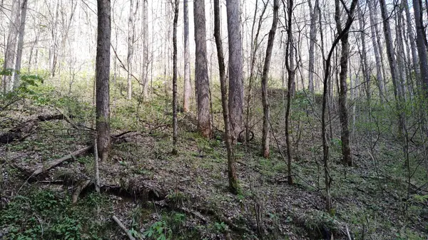 74 Cherokee Dr, Smithville, TN 37166