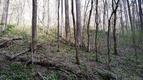 74 Cherokee Dr, Smithville, TN 37166