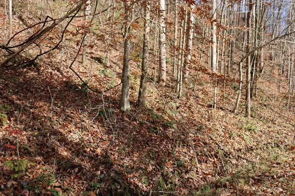 74 Cherokee Dr, Smithville, TN 37166