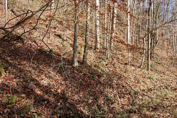 74 Cherokee Dr, Smithville, TN 37166