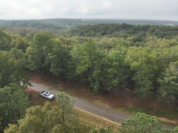 46 Hardison Ln, Linden, TN 37096