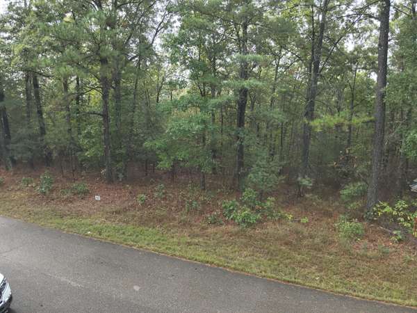 46 Hardison Ln, Linden, TN 37096