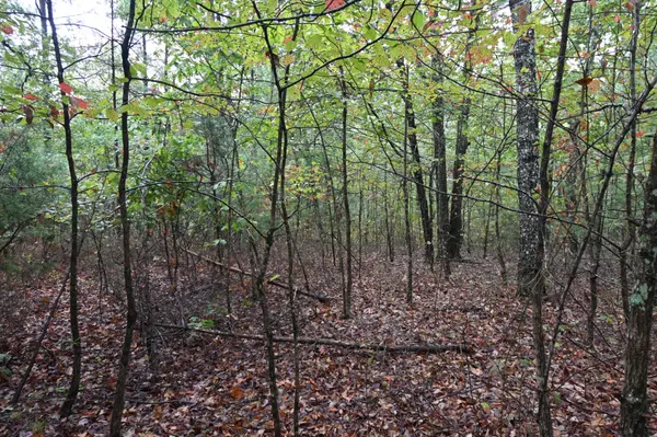 46 Hardison Ln, Linden, TN 37096