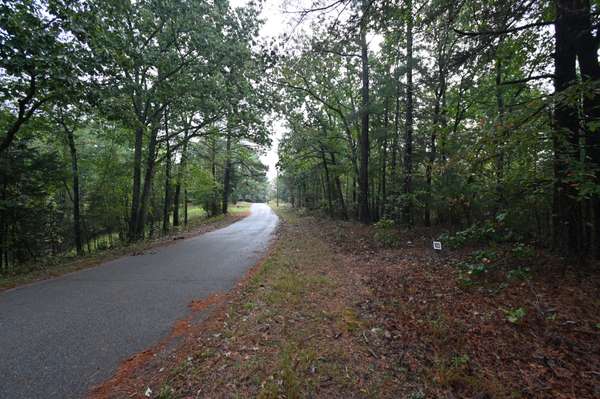 62 Hardison Ln, Linden, TN 37096