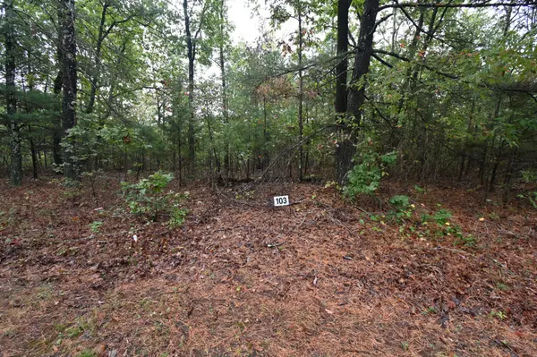 62 Hardison Ln, Linden, TN 37096