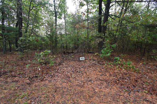 62 Hardison Ln, Linden, TN 37096