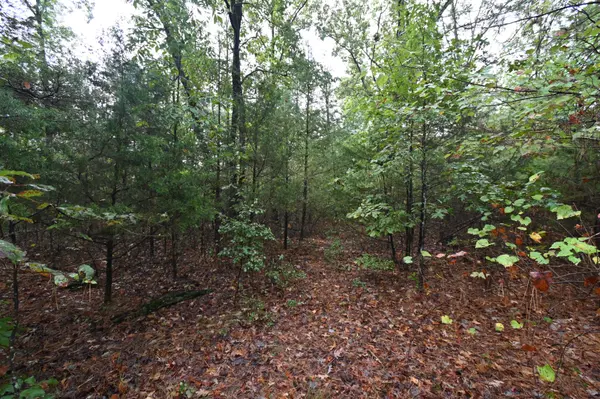 62 Hardison Ln, Linden, TN 37096